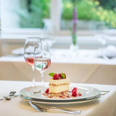 Radun Hotel Luhacovice