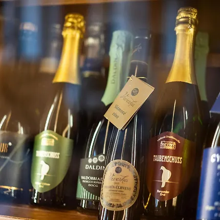 Ξενοδοχείο Radun Luhačovice